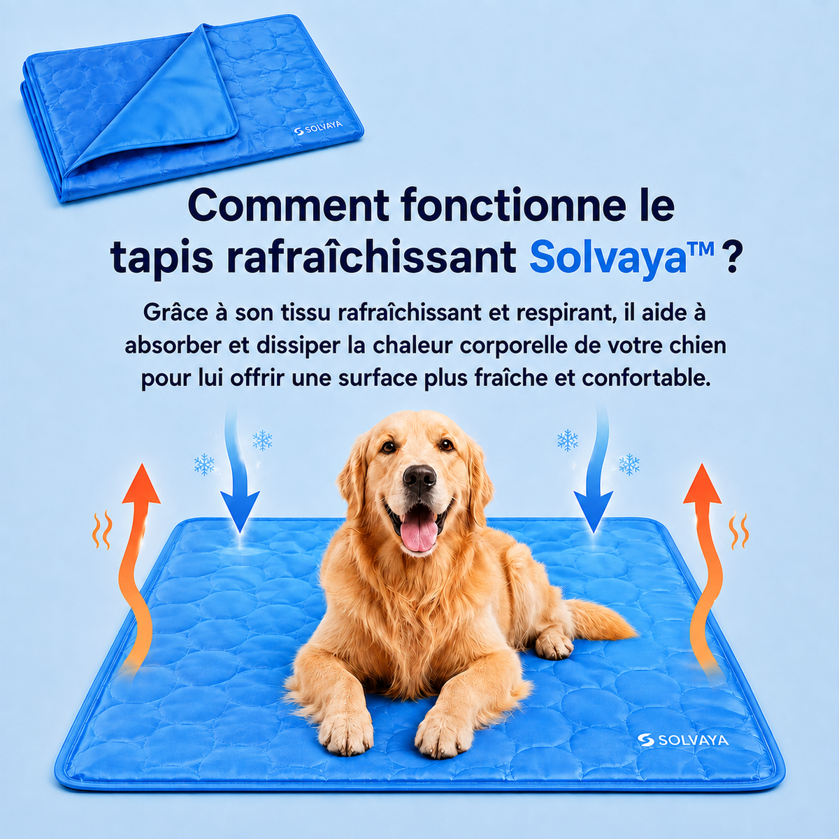 Tapis rafraîchissant pour chiens